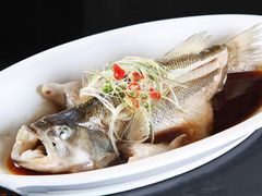 -茶肆(仙林店)