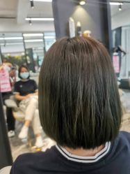 -藤野造型