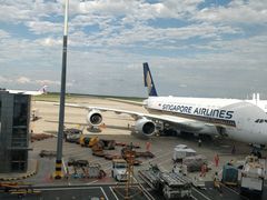 -岁福祥老母鸡汤面馆(阳曲路店)