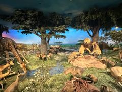 -国家自然博物馆