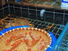 -宁海食府·涌宴(真和店)