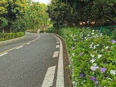 -大屏嶂森林公园