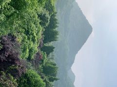 -贵阳市花溪国家城市湿地公园