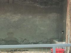 -合肥野生动物园