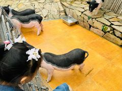 -HERRE·FARM 赫尔露营农场·团建聚会包场