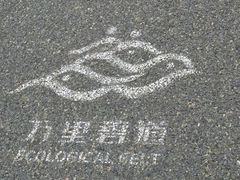 -野狸岛