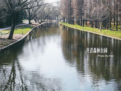 -上海共青森林公园