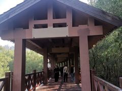 -大亚湾红树林城市湿地公园