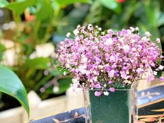 -利顺德大饭店·维多利亚花园(小白楼店)