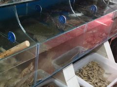 -宾朋海鲜特色美食餐厅·纯手工鲅鱼水饺(兴海路店)