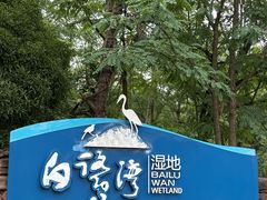-白鹭湾湿地公园
