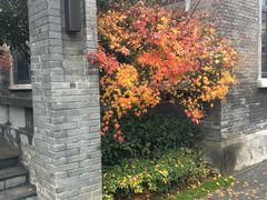 -萬國春·中菜馆(颐和公馆店)