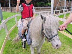 -太阳岛度假酒店