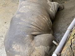 -济南野生动物世界