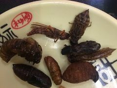 -昆虫窝子·特色云南菜(拓东路总店)