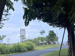 -华侨公园