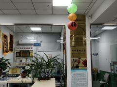 -利又安动物医院··老年病·猫科犬科·中兽医