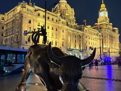 -上海和平饭店 Fairmont Peace Hotel