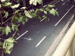 -Ginger(兴国路店)