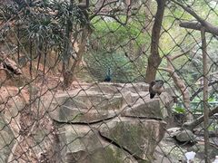 -青青世界