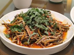 -飞虹鱼馆(春华路店)