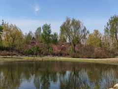 -群力丁香公园