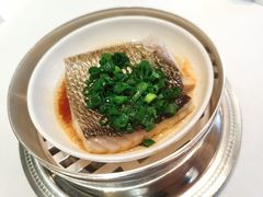 -福1015(愚园路店)