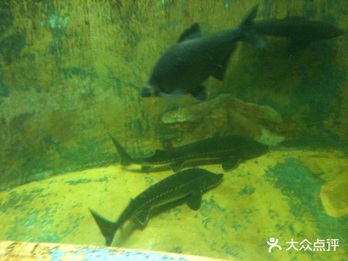 鞍山岫岩沟汤温泉图片