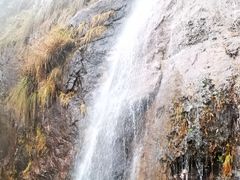 -金子山原生态旅游风景区