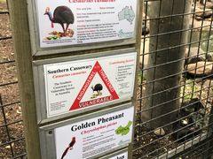 -费瑟代尔野生动物园