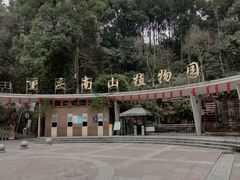 -南山植物园