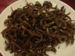 -黄牛肉馆·皖南土菜