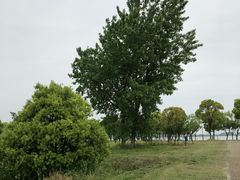 -漕湖湿地公园