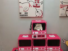 -静宜和她的朋友(星海广场店)