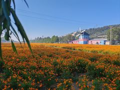 -大连铭湖国际观光牧场