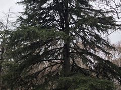 -花溪公园