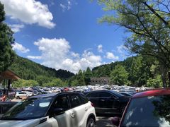 -武陵山森林公园