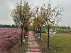 -嘉北郊野公园