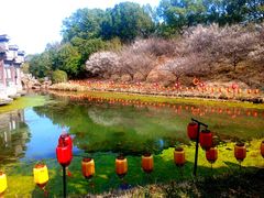 -韩湘水博园