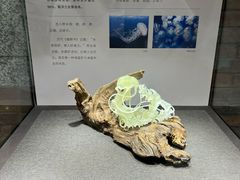 -大连自然博物馆
