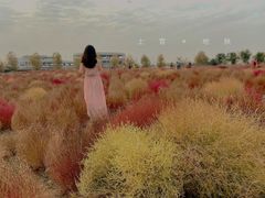 -映月湖中央公园