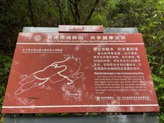 -九曜山