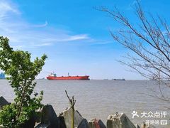 -上海滨江森林公园