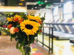 -光猪圈健身(隆昌路复旦软件园店)