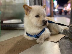 -马路边边串串香(双井直营店)