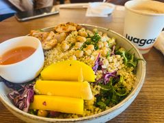-Wagas沃歌斯(五道口购物中心店)
