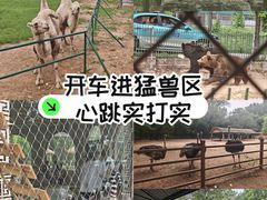-秦皇岛野生动物园