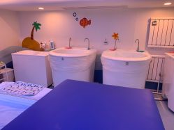 -马博士婴幼儿游泳馆(广安门旗舰店)