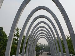 -大兴滨河森林公园