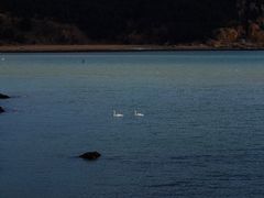 -花斑彩石景区